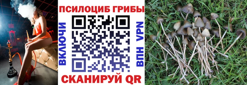 цены наркотик  Пермь  Галлюциногенные грибы прущие грибы 
